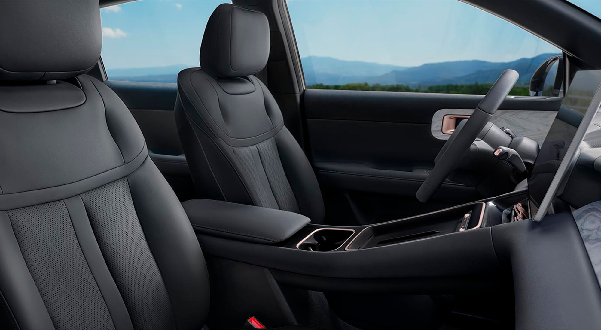 color negro interior